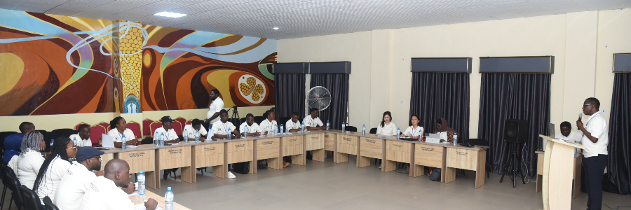 IAS Conference Participants: Rethinking African Values in Contemporary Development